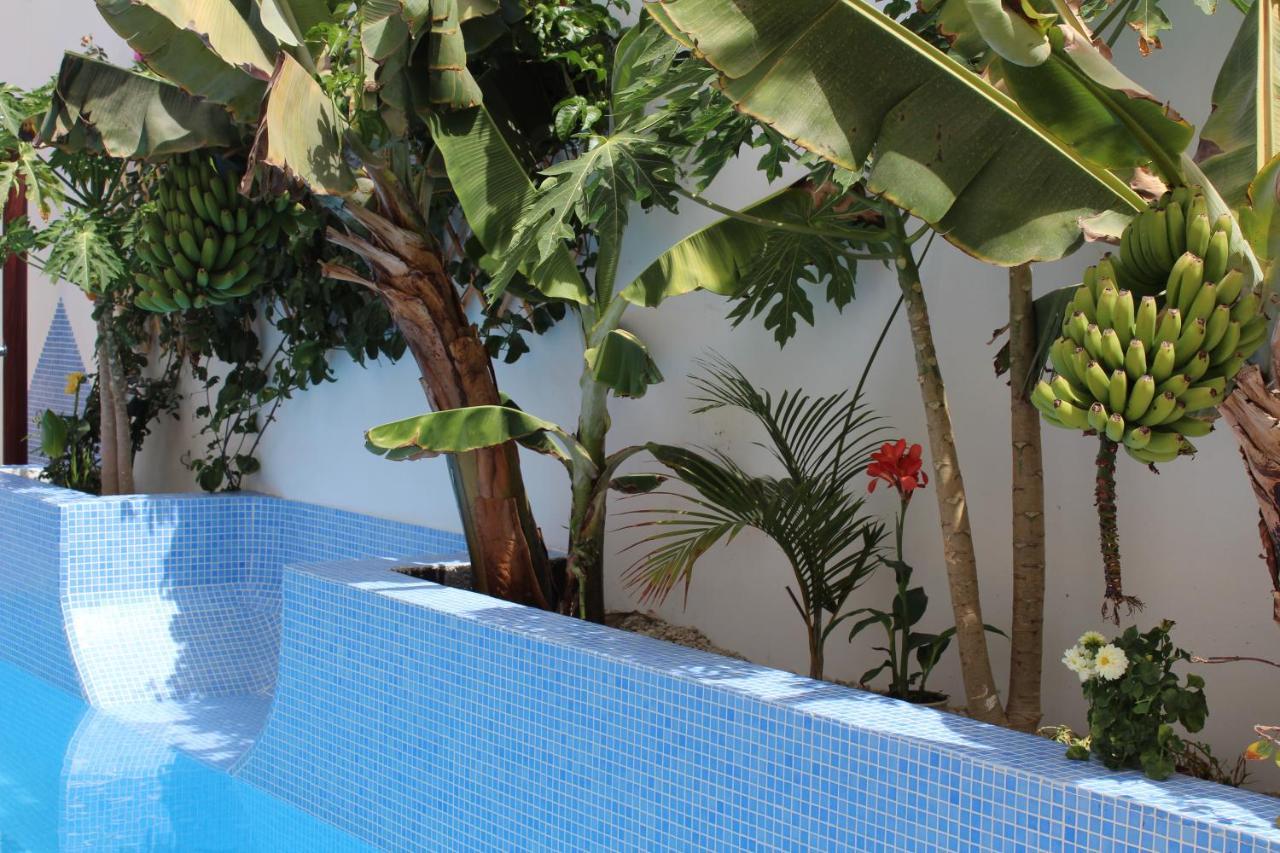Casa El Olivo, Tenerife Valle de San Lorenzo Eksteriør billede