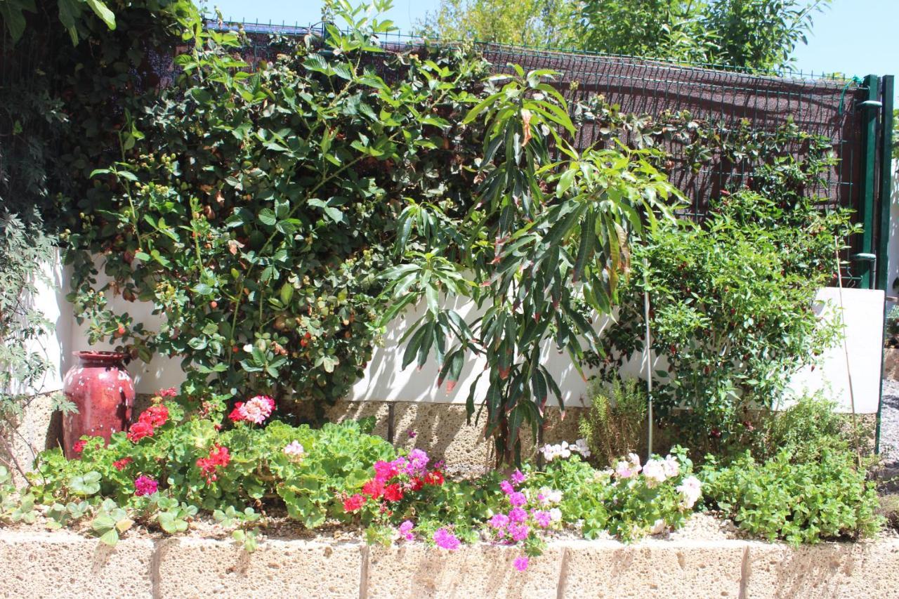 Casa El Olivo, Tenerife Valle de San Lorenzo Eksteriør billede